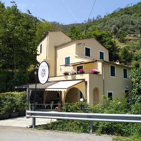 Il Ghiro-2